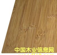 �c���鿴���Ŵ�DƬ