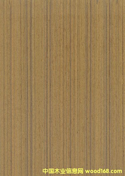 �c(di��n)���鿴��ľTK-205Q�Ŵ�DƬ