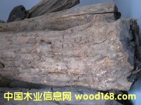 �ϵȞ�ľԭ�ϵ�Ԕ����B