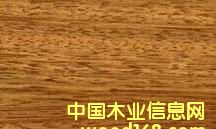 �c(di��n)���鿴�p���Kľ�Ŵ�DƬ