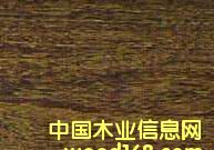 �c(di��n)���鿴��ρľ�Ŵ�DƬ