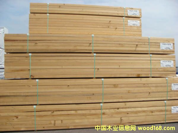 �c(di��n)���鿴�Fɼ��ľ�Ŵ�DƬ