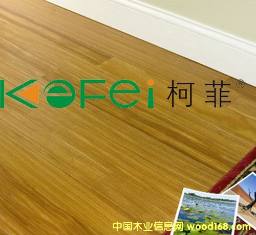 �c(di��n)���鿴���Ϙ匍(sh��)ľ�ذ�Ŵ�DƬ