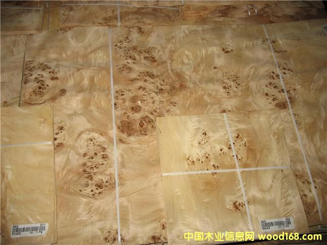 �ח�����Ԕ����B