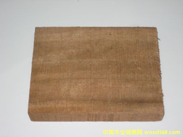 ��˼ľ��ACASIA MAGIUM����Ԕ��(x��)��B