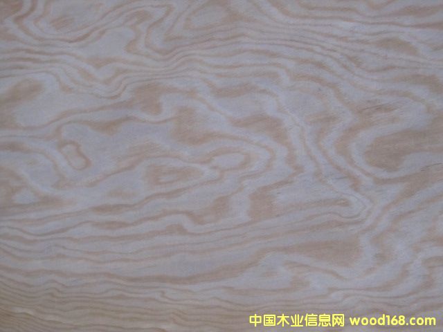 �c���鿴������ľƤ�Ŵ�DƬ