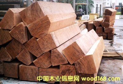 ������ľ