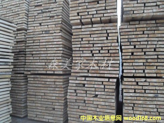 ��������ľ��Ԕ����B