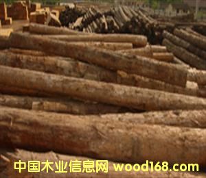 �������ĵ�Ԕ����B