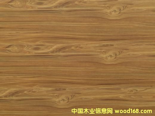 ��(qi��ng)��ľ�ذ������ӌ�(sh��)ľ�ذ�����(sh��)ľ�ذ��Ԕ��(x��)��B