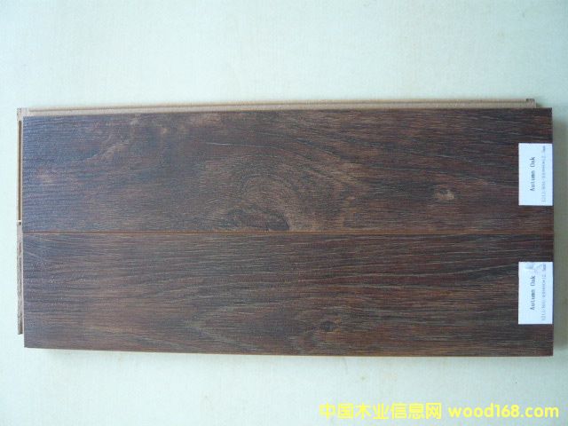 Autumn Oak����(qi��ng)���ذ壩��Ԕ��(x��)��B