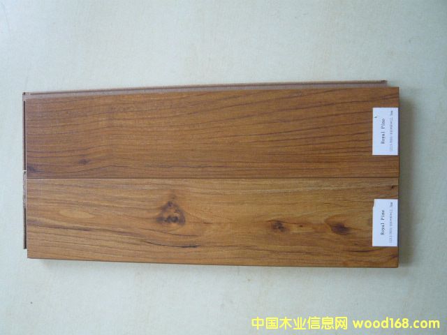 Royal Pine (��(qi��ng)���ذ�)��Ԕ��(x��)��B