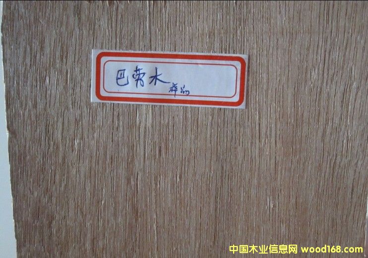 �̈́�ľ��Ԕ��(x��)��B