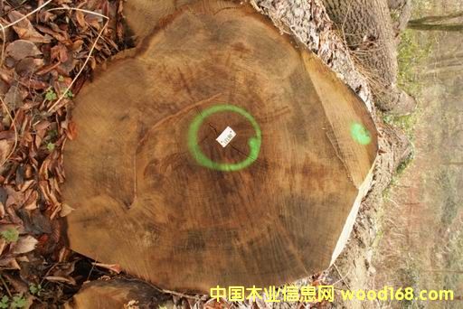 ��������ľ��Ԕ����B