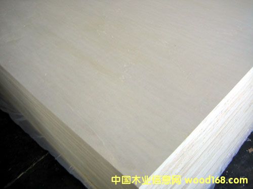 �c(di��n)���鿴ȫ��ľ�z�ϰ�Ŵ�DƬ