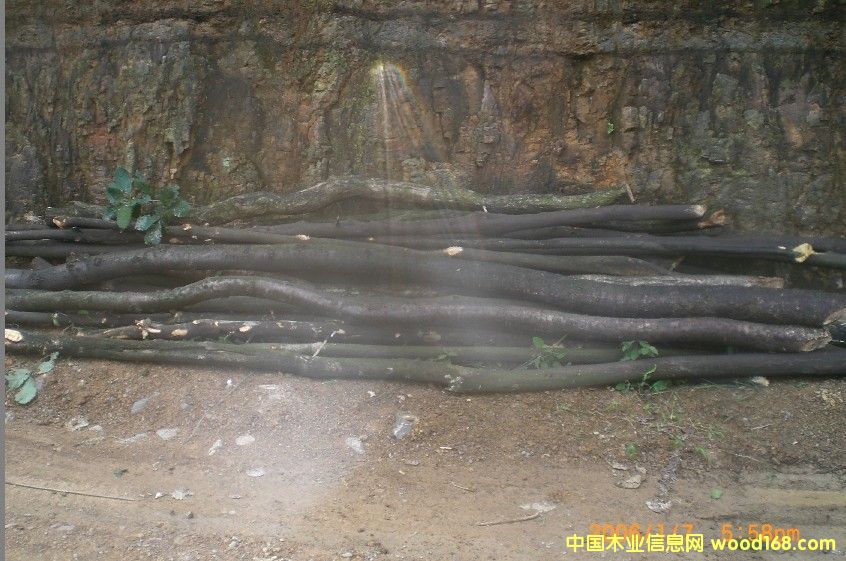 �c(di��n)���鿴�sľ�Ŵ�DƬ