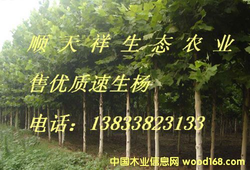 ��(y��u)�|(zh��)��������ľ��Ԕ��(x��)��B