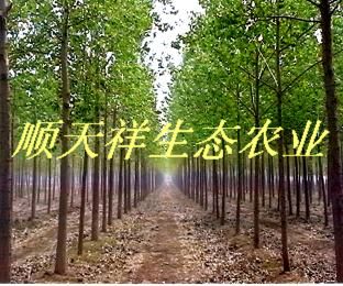 ��(y��u)�|(zh��)��������ľ��Ԕ��(x��)��B