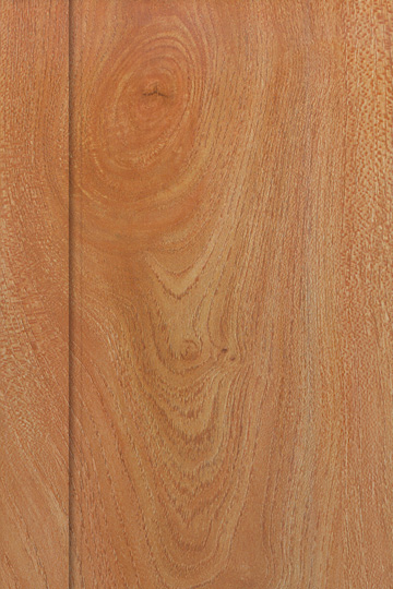 �c(di��n)���鿴352�Ŵ�DƬ