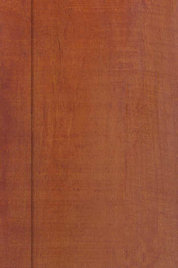 �c(di��n)���鿴350�Ŵ�DƬ