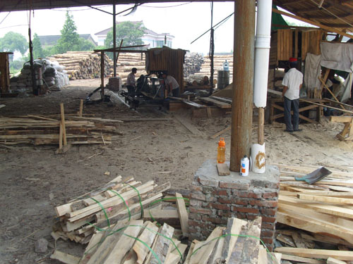 ����ӹ�ľ�ĵ�Ԕ��(x��)��B