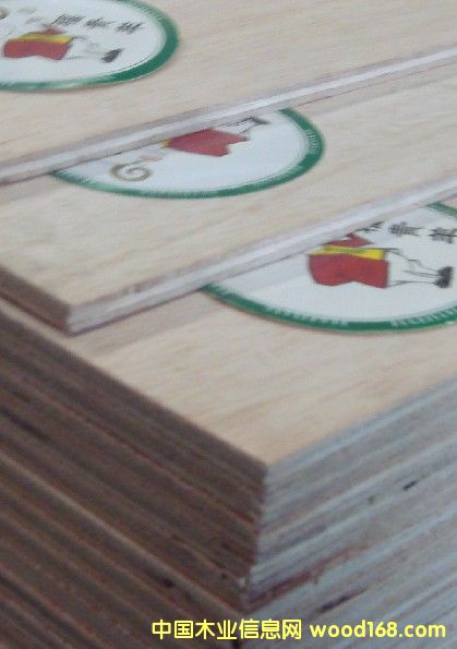 ���F��5MM���Ӱ�