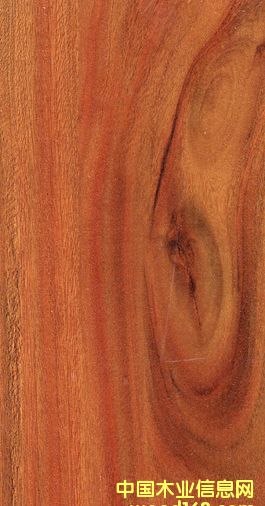 �G��ذ�-�R�ɲ��_��ˮϵ�е�Ԕ��(x��)��B