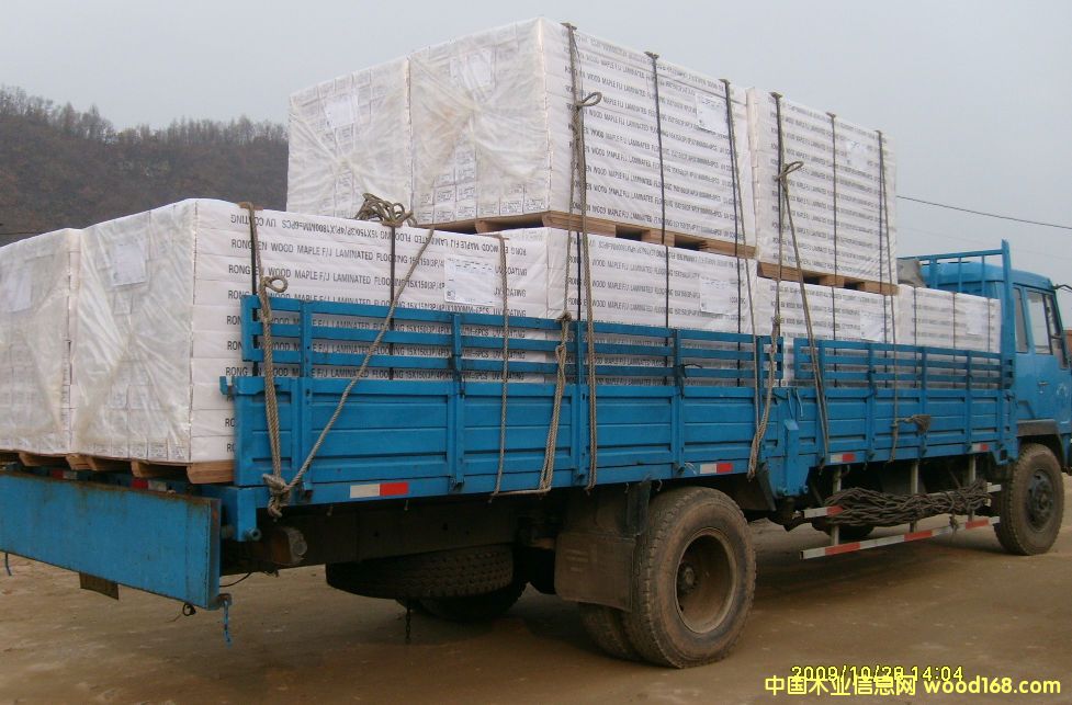 �c(di��n)���鿴��ľ�w���ذ�Ŵ�DƬ