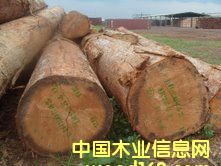 ����˹ԭľ��B+��(j��)��Ԕ��(x��)��B