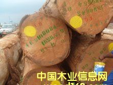 ����˹ԭľ��B+��(j��)��Ԕ��(x��)��B