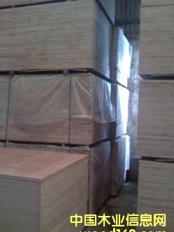 �c���鿴���b��ذ�Ŵ�DƬ