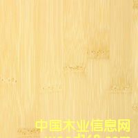 ��ɫƽ����Ƥ��Ԕ����B