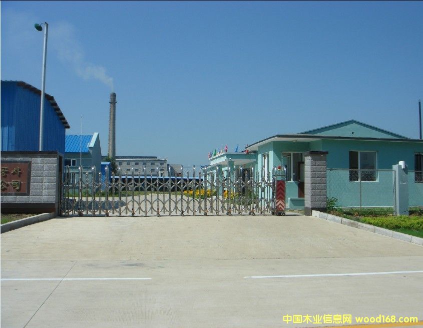 �c���鿴��˾��ò�Ŵ�DƬ