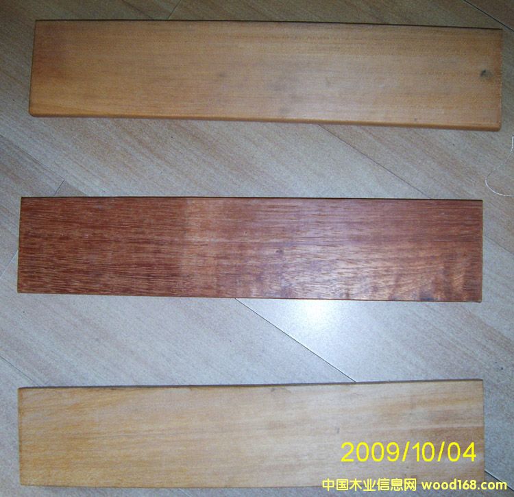 �c(di��n)���鿴ľ�ķŴ�DƬ