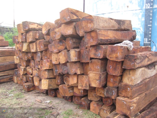 �������Ԕ��(x��)��B