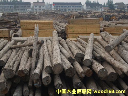 �c(di��n)���鿴��ͨľ�����۷Ŵ�DƬ