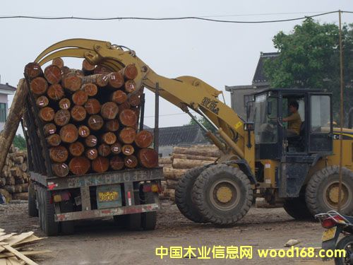 �c(di��n)���鿴��ͨľ�ļӹ��Ŵ�DƬ