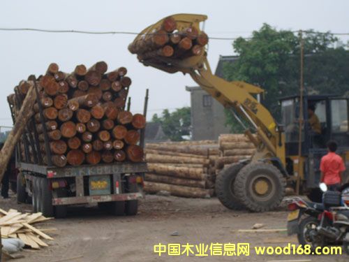 �c(di��n)���鿴��ͨľ�����l(f��)�Ŵ�DƬ