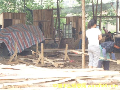 �c(di��n)���鿴��ͨ�ӹ�ľ�ķŴ�DƬ