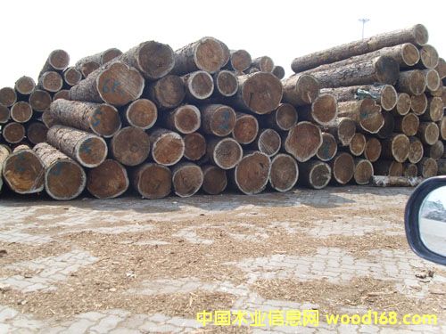 �c(di��n)���鿴��ͨľ���Ј��Ŵ�DƬ