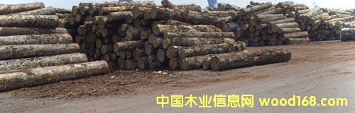 �c(di��n)���鿴��ͨ����ľ�ķŴ�DƬ