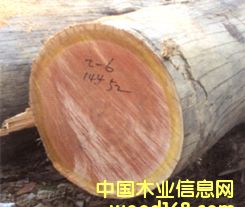 ɽ����Ԕ��(x��)��B