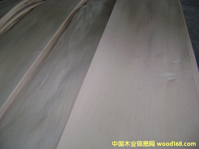 ����ľƤ���N��0.6�W��ɽ/ֱ�y��Ԕ����B