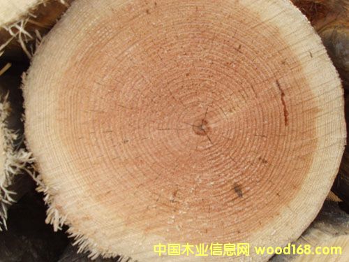 �c(di��n)���鿴�ǽ�ľ�ķŴ�DƬ