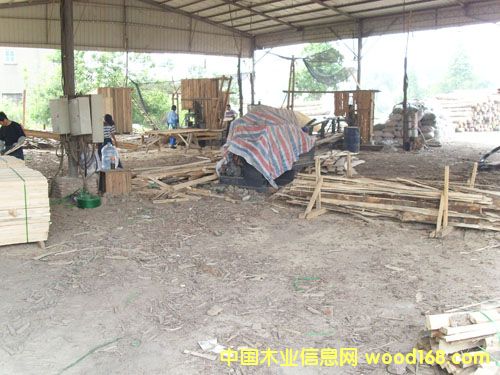 �c(di��n)���鿴�ǽ��ӹ�ľ�ķŴ�DƬ