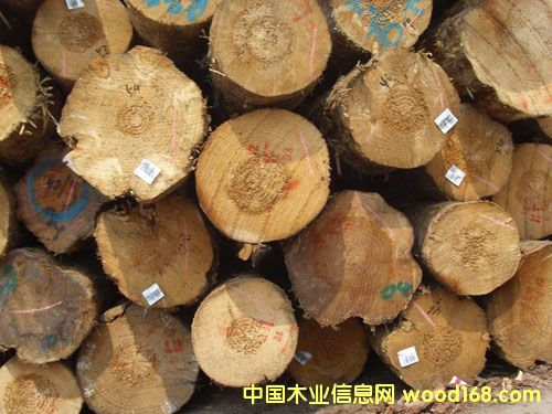 �c(di��n)���鿴�ǽ��M(j��n)��ľ�ķŴ�DƬ