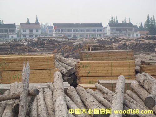 �c(di��n)���鿴�ǽ�ľ�����۷Ŵ�DƬ