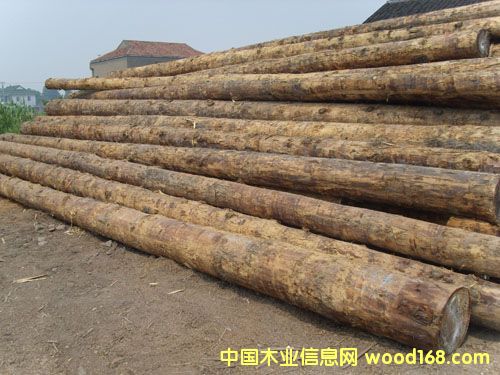 �c(di��n)���鿴�ǽ�ľ��ԭľ�Ŵ�DƬ