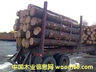 �Ϸ���ԭľ��Ԕ����B