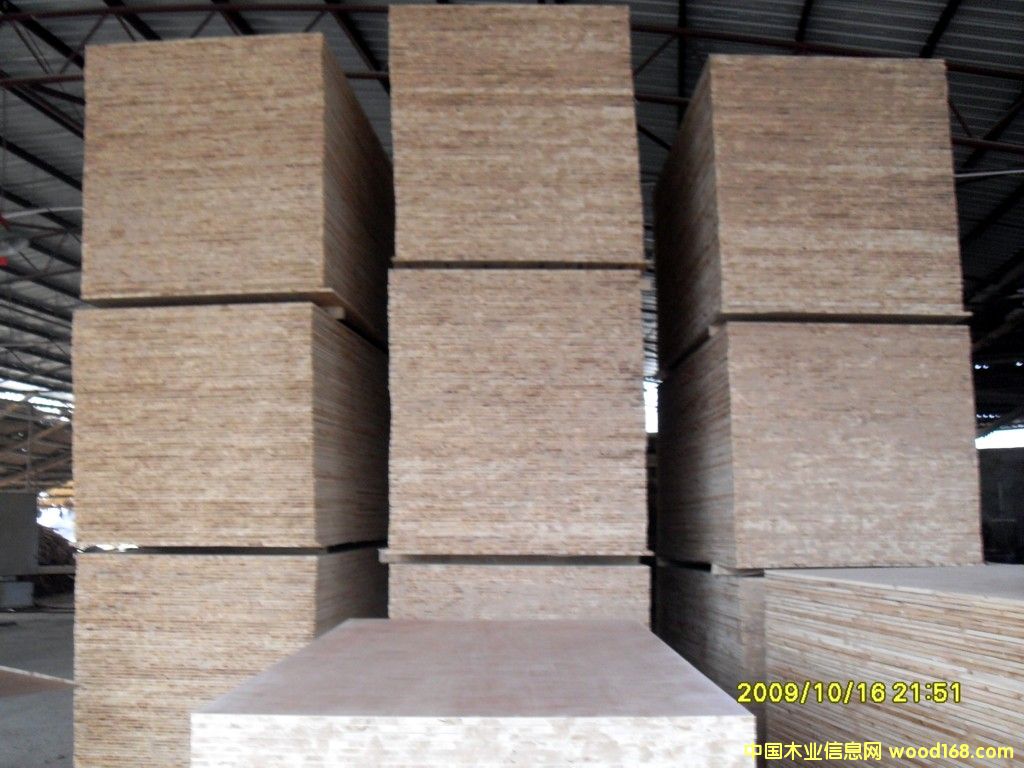 ��(x��)ľ����